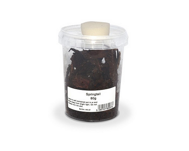 Springtails - 80g tub